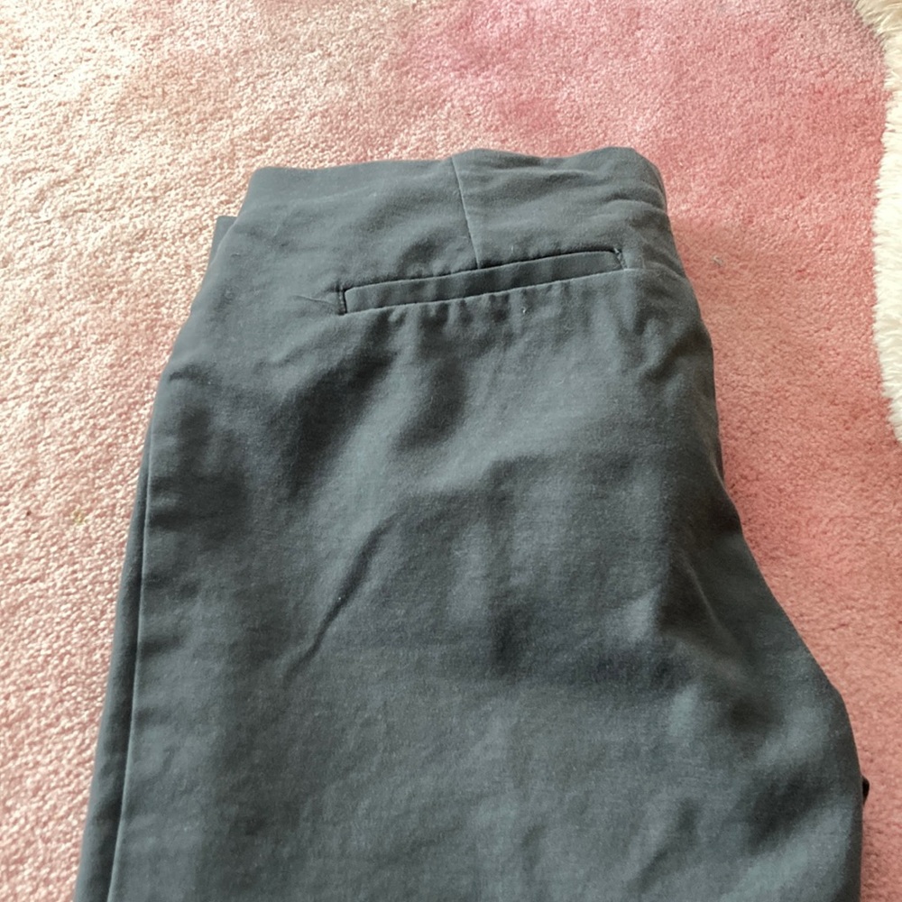 Dress pant